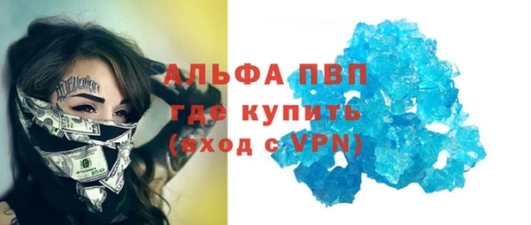 spice Аркадак