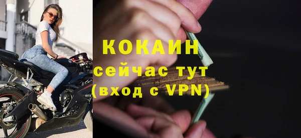 spice Аркадак